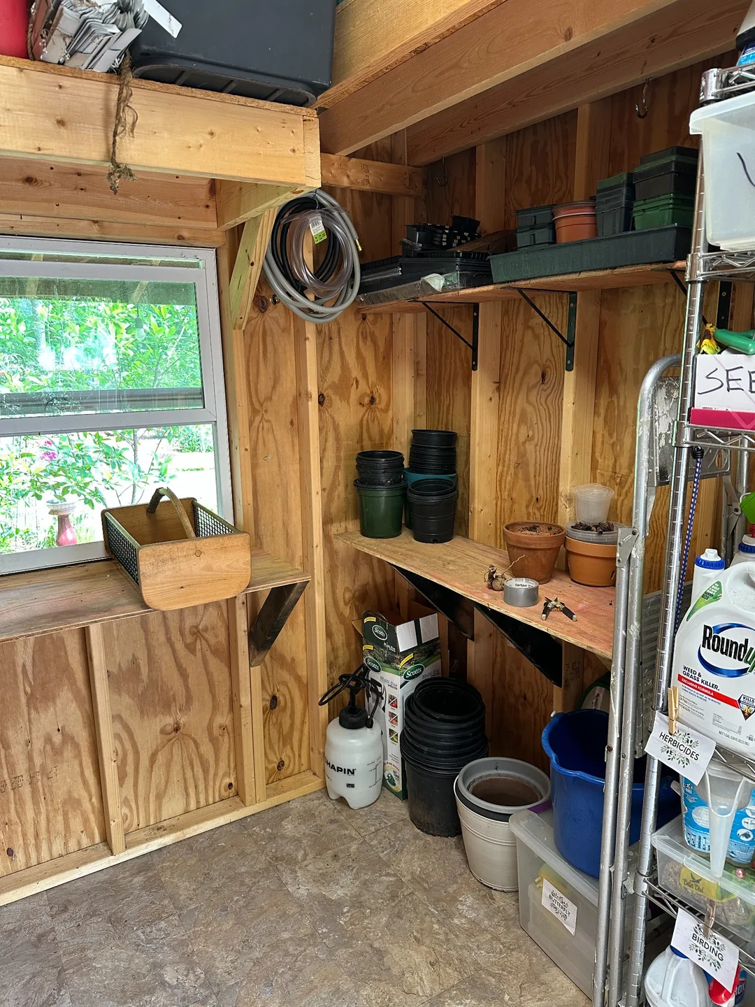 Pots and trays grouped on shelving near the shed window.